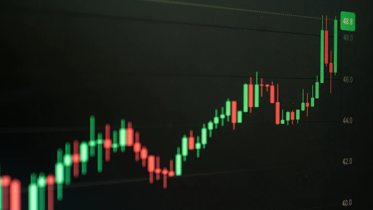 대형병원·성형 고액결제 카드 비교 3 한글