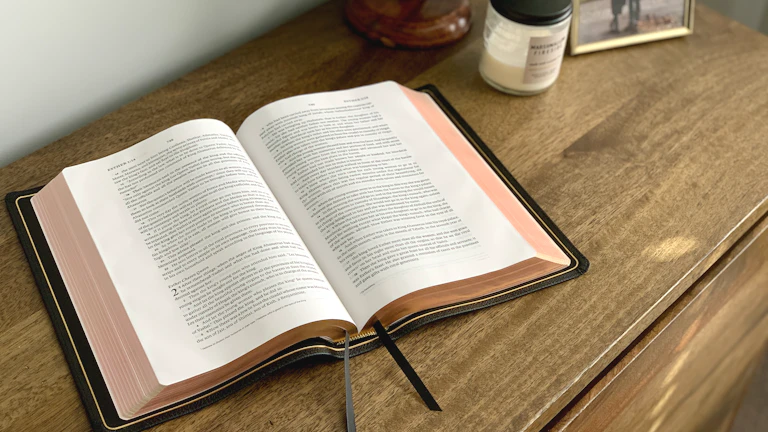 연체·회복자 카드 실무 가이드 2 한글