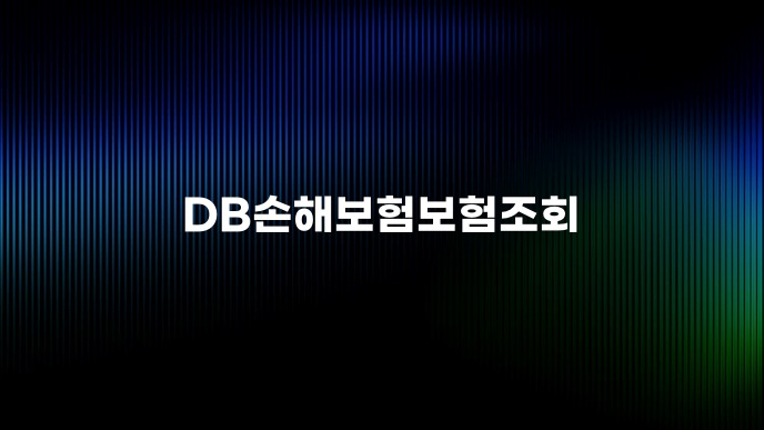 DB손해보험보험조회