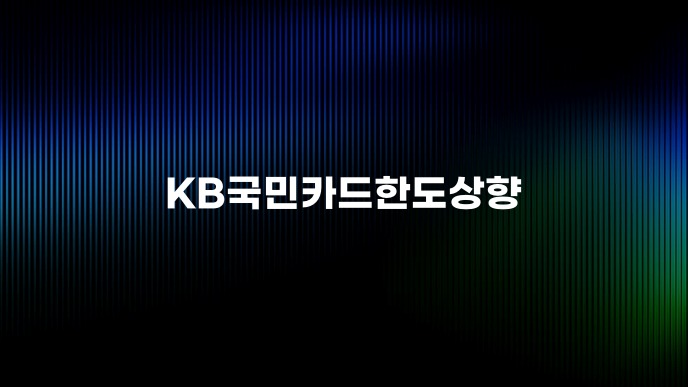 KB국민카드한도상향