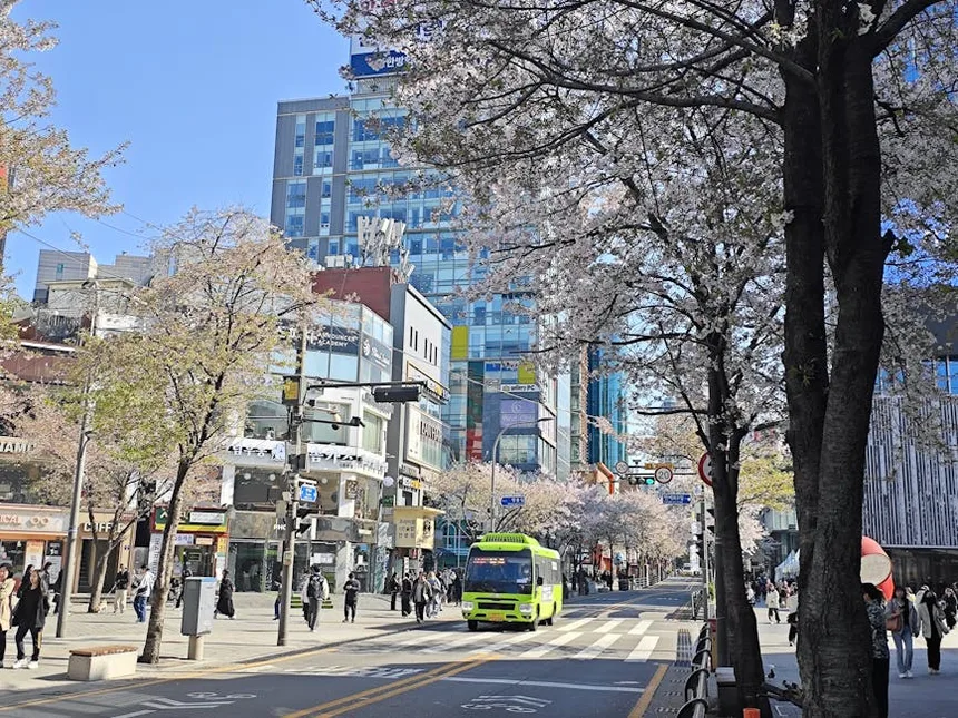 울산부동산재테크 투자 전 확인할 금리와 수익률 기준 5 울산 시내 구별 지도와 생활권