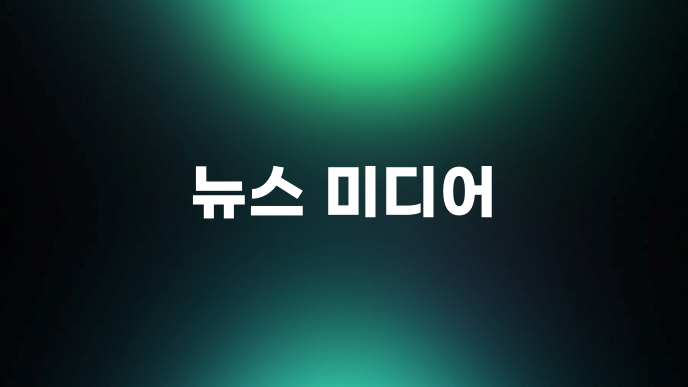 뉴스 미디어