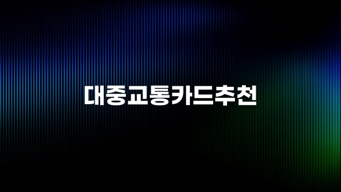 대중교통카드추천