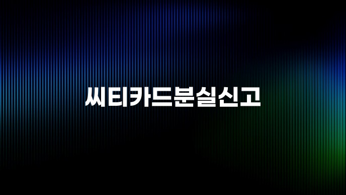 씨티카드분실신고