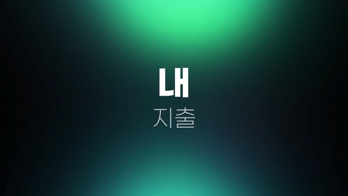 내 지출