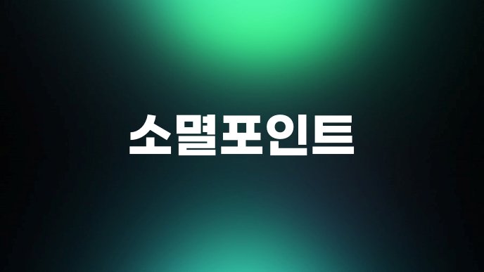 소멸포인트