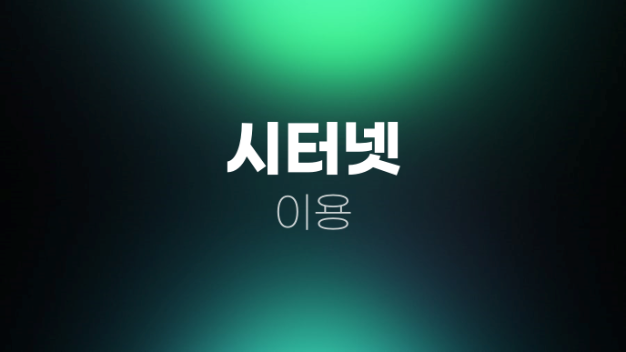 시터넷 이용
