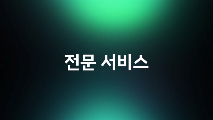 전문 서비스