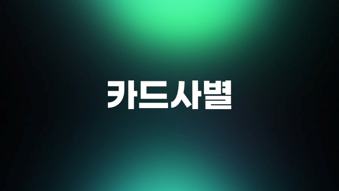 카드사별 1
