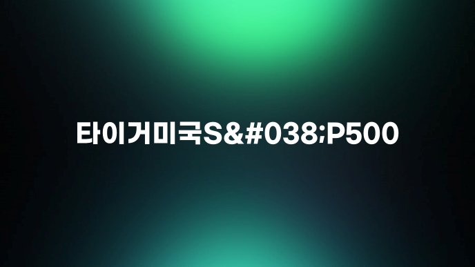 타이거미국S038P500