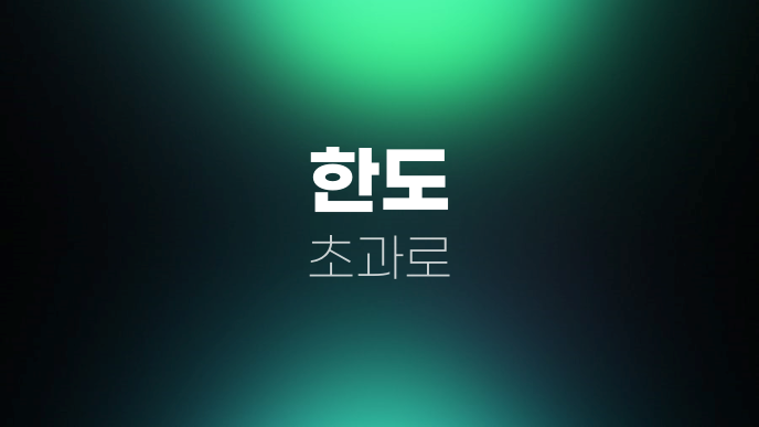 한도 초과로