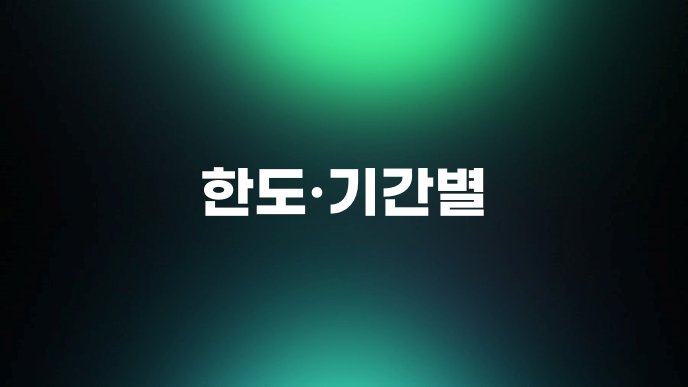 한도·기간별