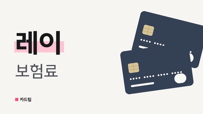 레이 보험료