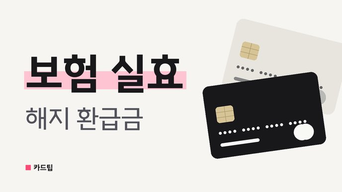 보험 실효 해지 환급금